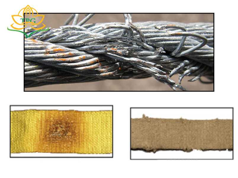 Kiểm tra cáp móc cẩu