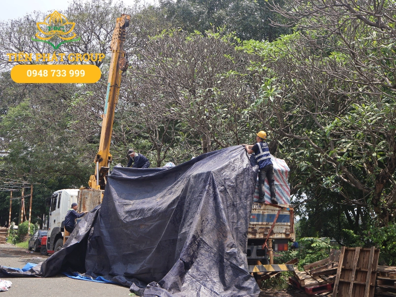 Tien Phat cho thue xe cau tren toan bo tinh Tien Giang tu My Tho, Go Cong, Cai Lay va cac huyen, KCN lon nhu KCN Tan Huong, KCN Long Cang